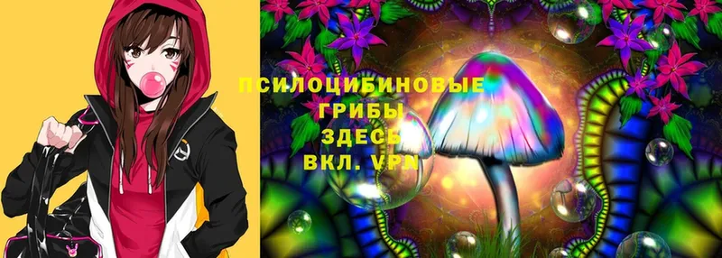 Галлюциногенные грибы Magic Shrooms  где можно купить   Магадан 